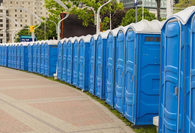 a row of portable restrooms at an outdoor special event, ready for use in Cedar Glen